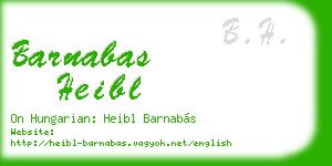 barnabas heibl business card